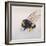 Pollen sac 2, 2011-Odile Kidd-Framed Giclee Print