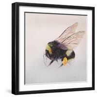 Pollen sac 2, 2011-Odile Kidd-Framed Giclee Print