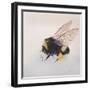 Pollen sac 2, 2011-Odile Kidd-Framed Giclee Print