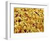 Pollen Tube of Lily-Micro Discovery-Framed Photographic Print