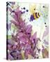 Pollinator-Dawn Derman-Stretched Canvas