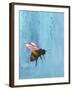 Pollinators I-Mehmet Altug-Framed Art Print