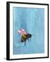 Pollinators I-Mehmet Altug-Framed Art Print