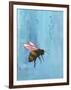 Pollinators I-Mehmet Altug-Framed Art Print