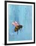 Pollinators I-Mehmet Altug-Framed Art Print