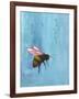 Pollinators I-Mehmet Altug-Framed Art Print