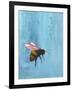 Pollinators I-Mehmet Altug-Framed Art Print