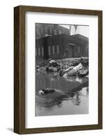 Polluted Waters of the Bronx River-Philip Gendreau-Framed Photographic Print