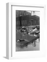 Polluted Waters of the Bronx River-Philip Gendreau-Framed Photographic Print