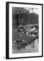 Polluted Waters of the Bronx River-Philip Gendreau-Framed Photographic Print