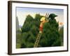 Polly and the Privet Bird-Reg Cartwright-Framed Giclee Print