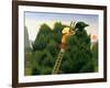 Polly and the Privet Bird-Reg Cartwright-Framed Giclee Print