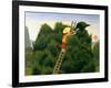 Polly and the Privet Bird-Reg Cartwright-Framed Giclee Print