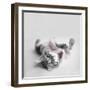 Polly-Rachael Hale-Framed Art Print