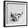 Polly-Rachael Hale-Framed Art Print