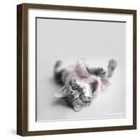 Polly-Rachael Hale-Framed Photographic Print