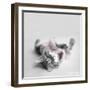 Polly-Rachael Hale-Framed Photographic Print