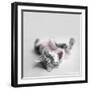 Polly-Rachael Hale-Framed Photographic Print