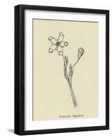 Pollybirdia Singularis-Edward Lear-Framed Giclee Print