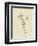 Pollybirdia Singularis-Edward Lear-Framed Giclee Print