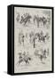 Polo at Hurlingham, 11 May-Ralph Cleaver-Framed Stretched Canvas