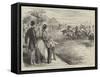 Polo at Hurlingham before the Prince and Princess of Wales-null-Framed Stretched Canvas