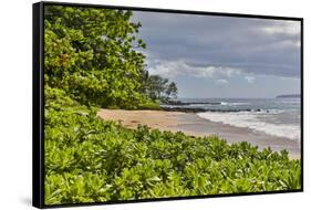 Polo Beach Park, Maui, Hawaii-Darrell Gulin-Framed Stretched Canvas