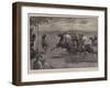 Polo by Moonlight in Malta, the Match Between Army and Navy Teams-John Charlton-Framed Giclee Print