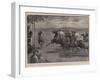 Polo by Moonlight in Malta, the Match Between Army and Navy Teams-John Charlton-Framed Giclee Print