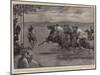 Polo by Moonlight in Malta, the Match Between Army and Navy Teams-John Charlton-Mounted Giclee Print