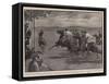 Polo by Moonlight in Malta, the Match Between Army and Navy Teams-John Charlton-Framed Stretched Canvas