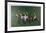 Polo Fields-Harry Schaare-Framed Limited Edition