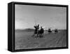 Polo Game in Progress at the Canlubang Sugarcane Plantation-Carl Mydans-Framed Stretched Canvas