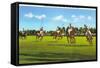 Polo Game-null-Framed Stretched Canvas