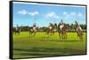 Polo Game-null-Framed Stretched Canvas