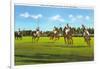 Polo Game-null-Framed Art Print