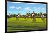 Polo Game-null-Framed Art Print