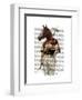 Polo Horse Portrait-Fab Funky-Framed Art Print