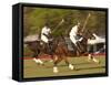 Polo, Houston, Texas, United States of America, North America-Michael DeFreitas-Framed Stretched Canvas