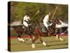 Polo, Houston, Texas, United States of America, North America-Michael DeFreitas-Stretched Canvas
