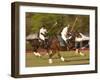 Polo, Houston, Texas, United States of America, North America-Michael DeFreitas-Framed Photographic Print