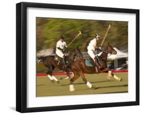 Polo, Houston, Texas, United States of America, North America-Michael DeFreitas-Framed Photographic Print