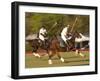 Polo, Houston, Texas, United States of America, North America-Michael DeFreitas-Framed Photographic Print