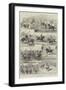 Polo in India-null-Framed Giclee Print