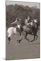 Polo In The Park I-Ben Wood-Mounted Giclee Print