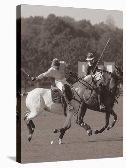 Polo In The Park I-Ben Wood-Stretched Canvas