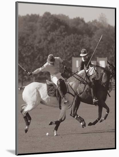 Polo In The Park I-Ben Wood-Mounted Art Print