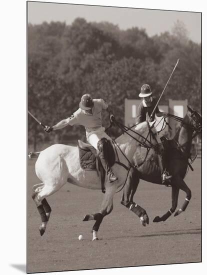 Polo In The Park I-Ben Wood-Mounted Premium Giclee Print