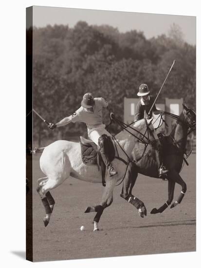 Polo In The Park I-Ben Wood-Stretched Canvas