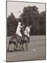 Polo In The Park II-Ben Wood-Mounted Art Print